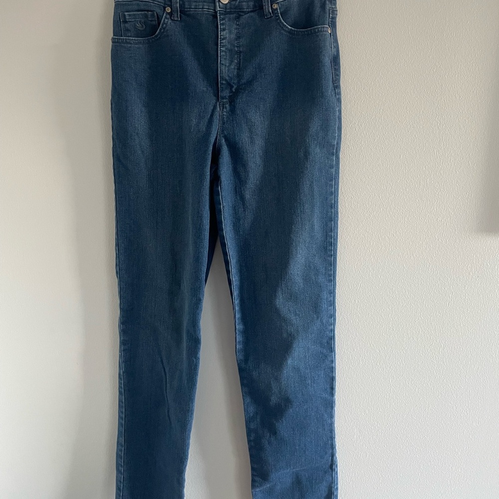Gloria Vanderbilt Women’s Straight Blue Jeans - Long